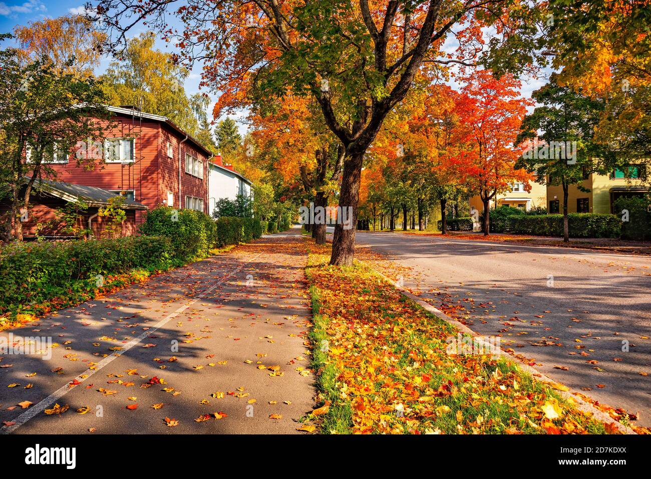 Une rue de ville avec maison en bois rouge. Rue de la ville avec des arbres en automne. Feuilles tombées sur une route. Vue colorée et lumineuse sur le feuillage d'automne de la ville. Banque D'Images