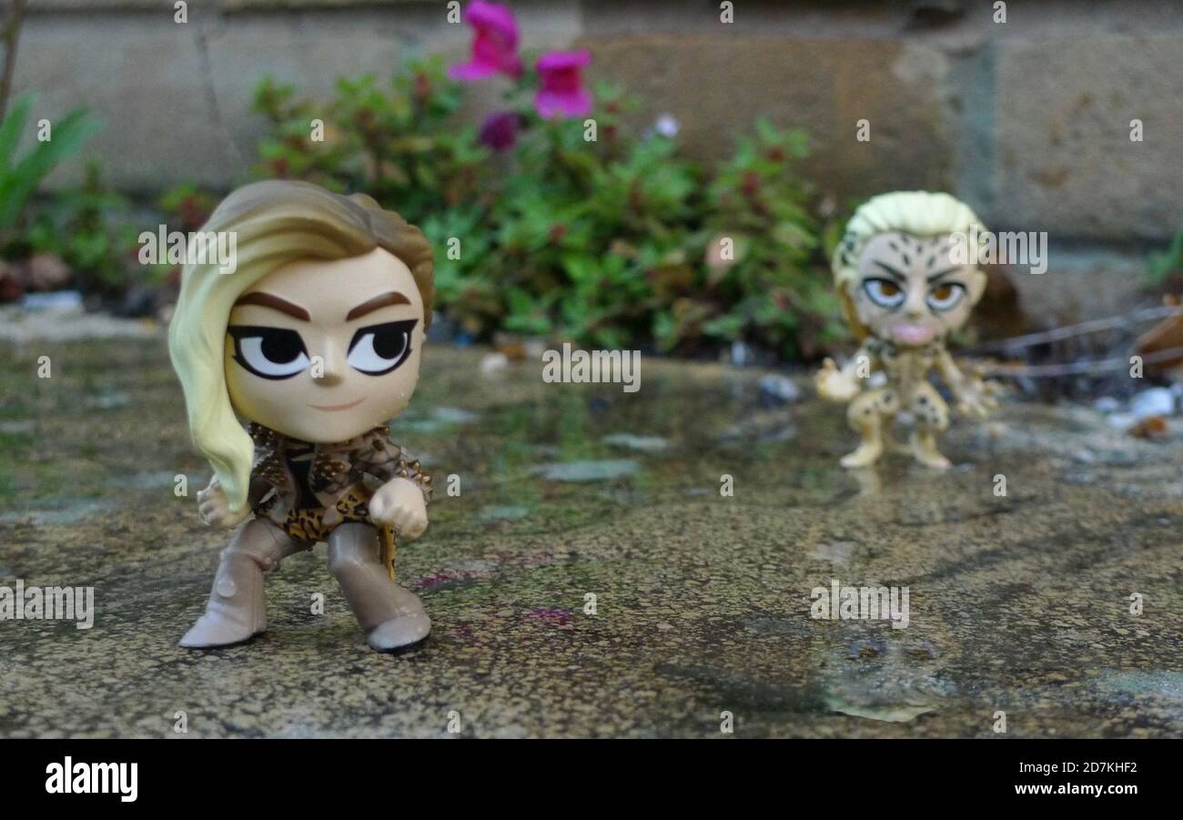 Une double réflexion d'identité sur Barbara Minerva et son alter ego comme le Cheetah comme une photo inspirée vers le film retardé Wonder Woman 1984. Banque D'Images