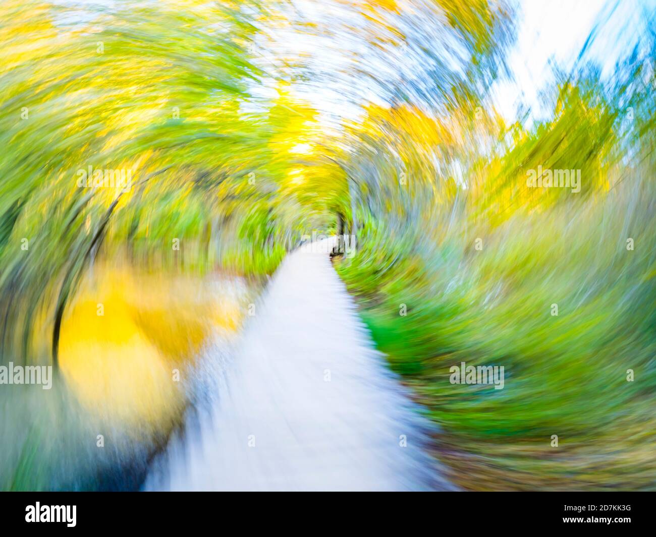 Sentier en bois chemin lacs de Plitvice en Croatie Europe artistique arty créatif intentionnellement circulaire paysage flou représentant la frénésie et la vitesse Banque D'Images