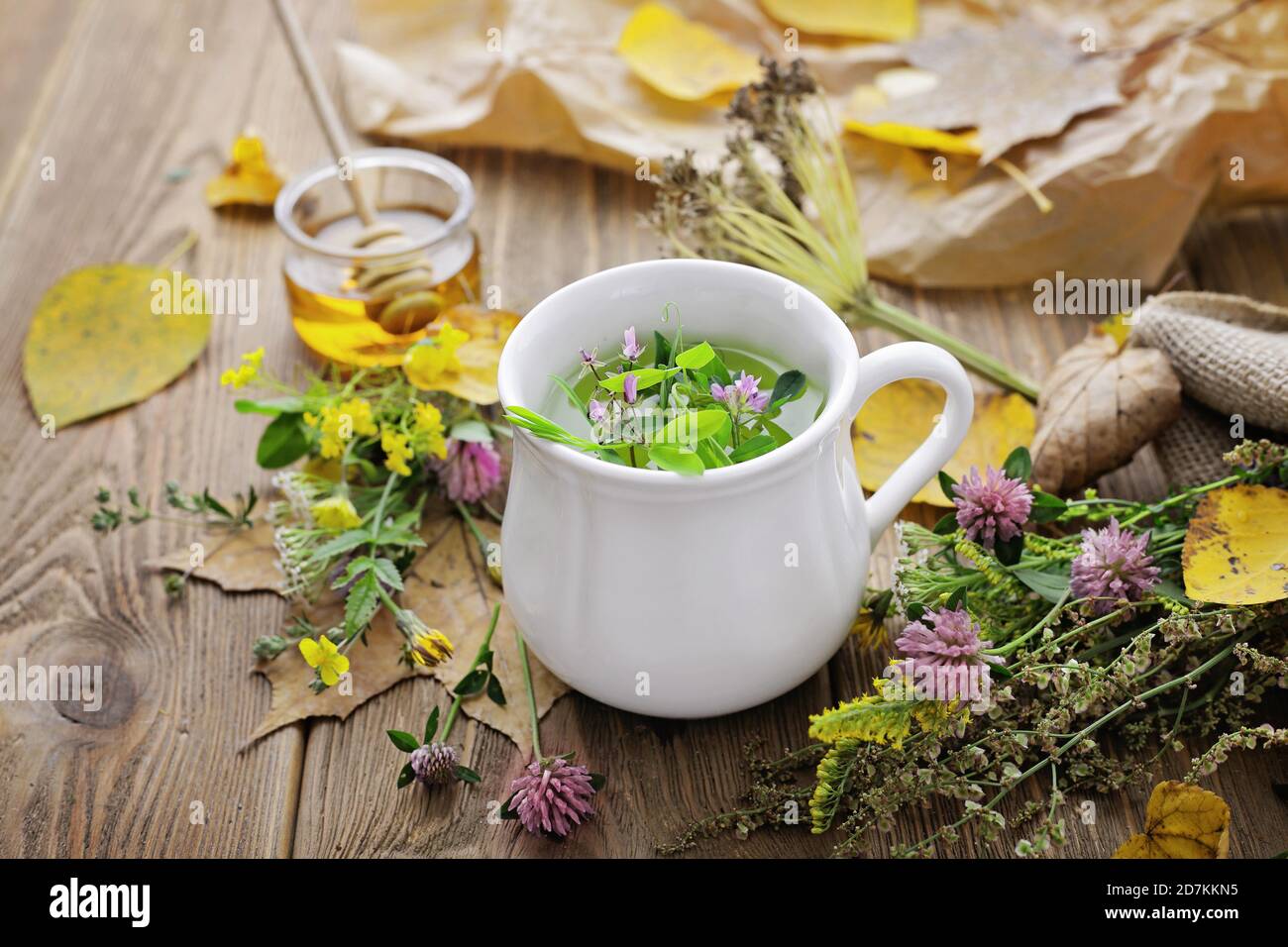 thé à base de plantes saines, remède à la maison. boisson pour le traitement de la grippe froide, médecine alternative. Concept de boisson pour élever l'immunité Banque D'Images