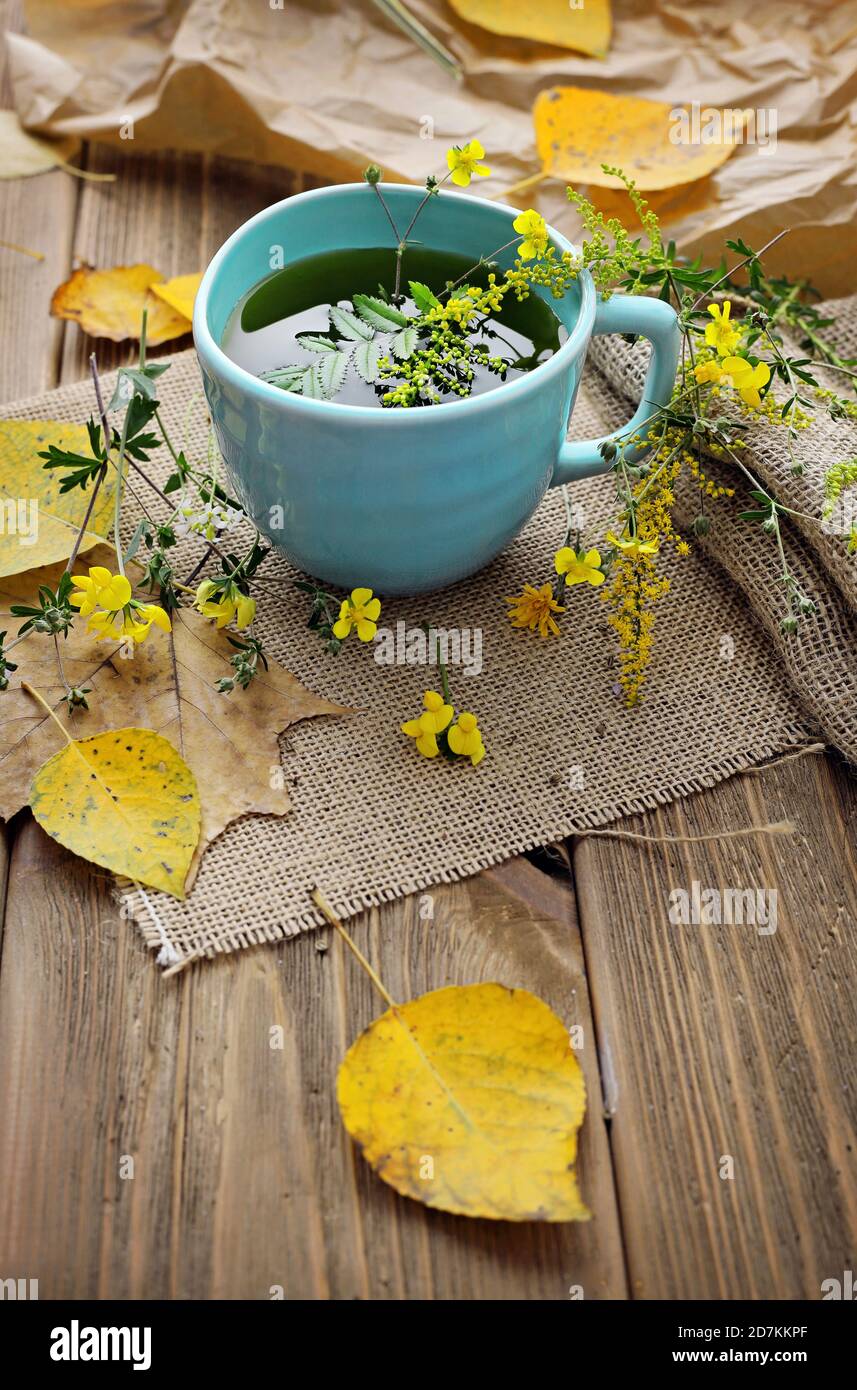 thé à base de plantes saines, remède à la maison. boisson pour le traitement de la grippe froide, médecine alternative. Concept de boisson pour élever l'immunité Banque D'Images