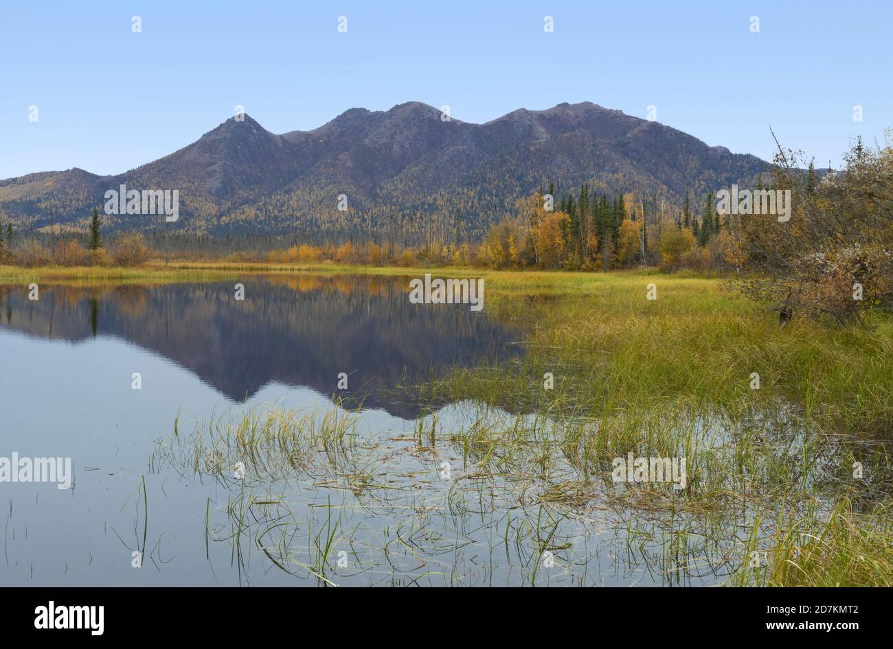 Couleurs d'automne, lac, montagnes de la chaîne Brooks, Alaska Banque D'Images