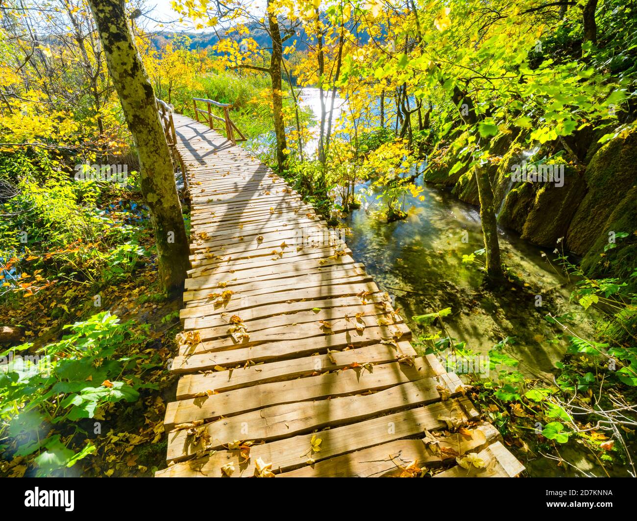 Lacs de Plitvice matin vif en Croatie Europe courbe légère sentier en bois au-dessus de l'eau le long du calme lac Banque D'Images