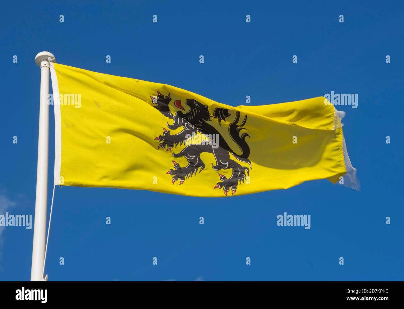 Drapeau de Flandre dans le cadre de drapeaux de régions autonomes Exposé par le front de mer à Aberystwyth, Ceredigion, pays de Galles Banque D'Images