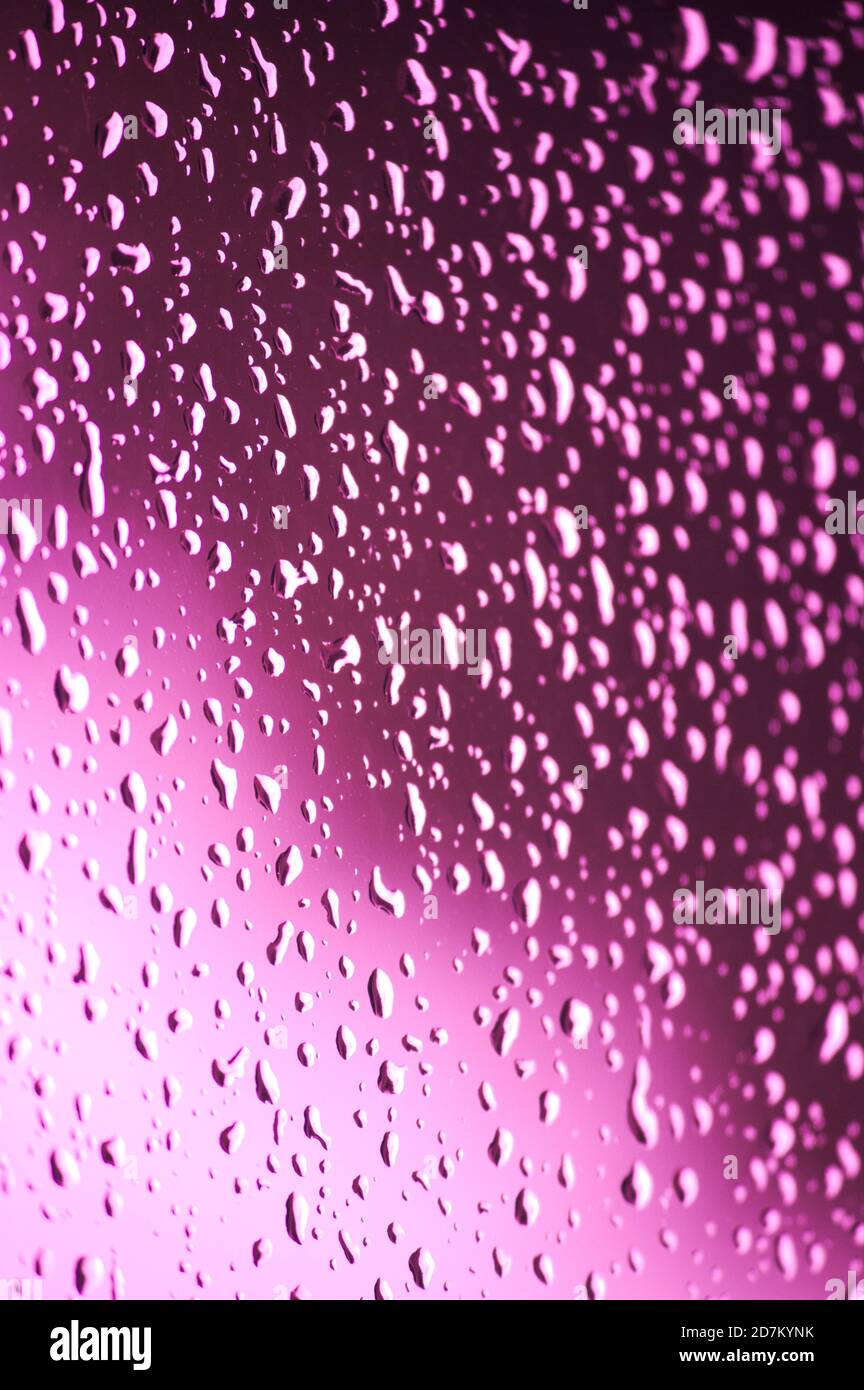 Image verticale d'un verre avec gouttes de pluie avec lumière dégradé de couleurs rose Banque D'Images