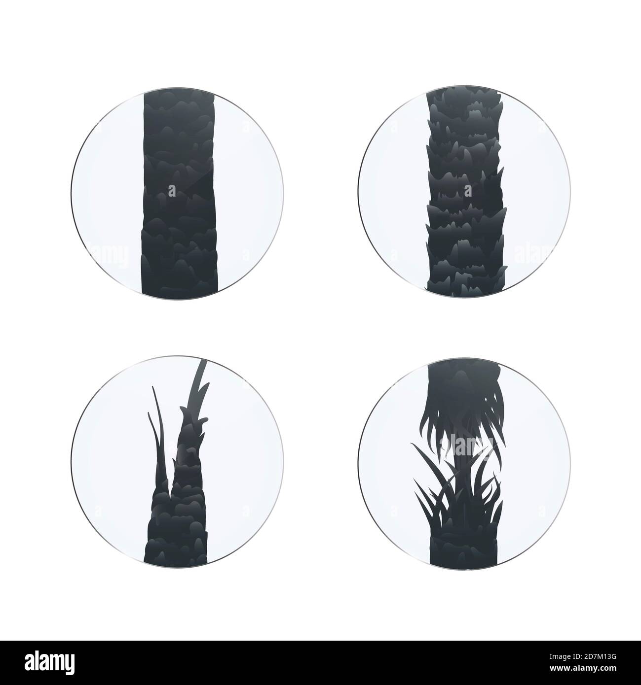 Surface de cheveux sains et abîmés sous le microscope, illustration. Extrémités fendues, rupture et cuticule en relief. Banque D'Images