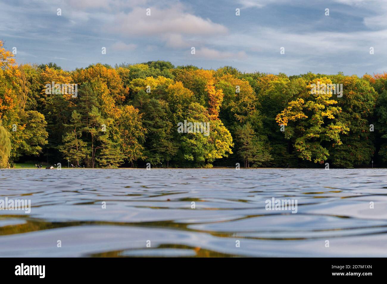 vue sur le lac adenauer jusqu'à la forêt automnale de la ville de cologne junkersdorf Banque D'Images