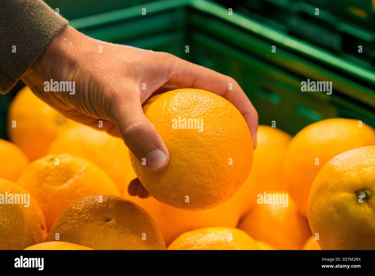 La main de l'homme prend une bio orange de la boîte dans un supermarché. Acheter des oranges à l'épicerie. Choisir des oranges déchirées. Banque D'Images