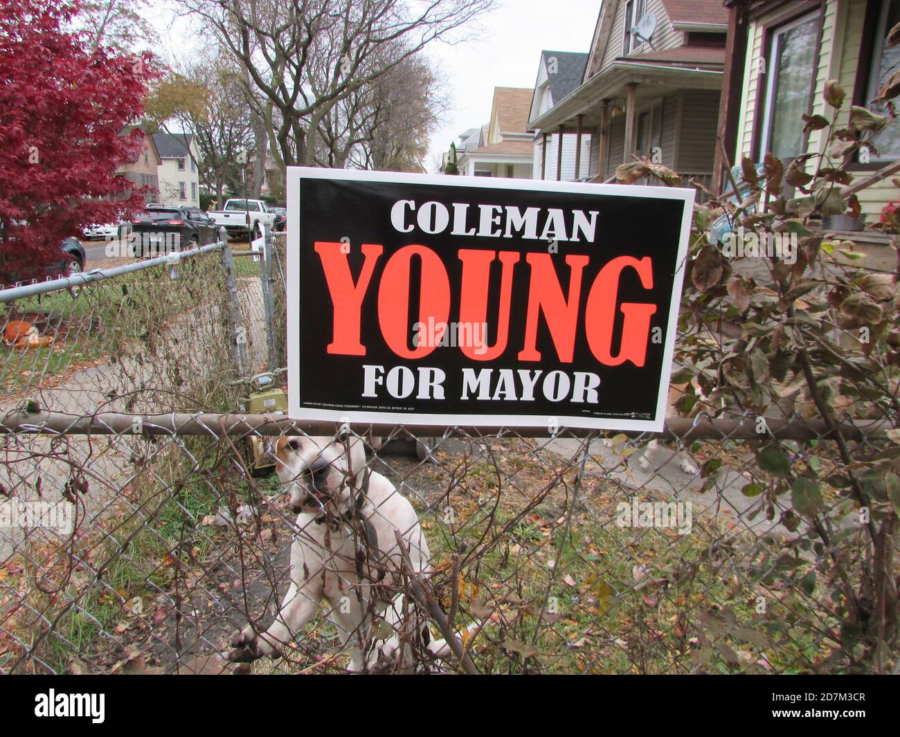 Coleman Young II pour le Maire signe avec un chien dedans Sud-Ouest de Detroit Banque D'Images