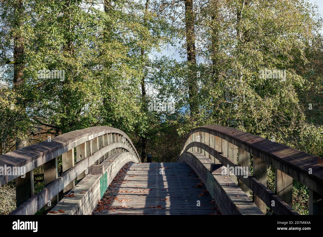 Pont d'arche en bois avec bois de coton à l'arrière-plan, jour ensoleillé, ombres formant des lignes de tête, quelques couleurs d'automne, feuilles tombées, forme symétrique. Banque D'Images