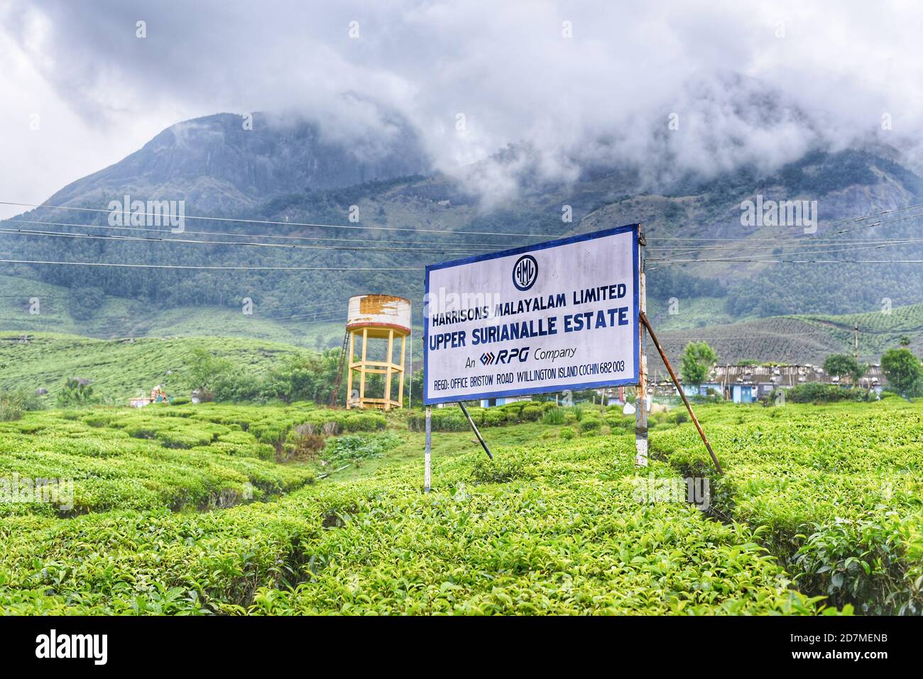 Domaine de thé Munnar au Kerala Inde. Plantation de thé et usine de thé avec thé vert Banque D'Images