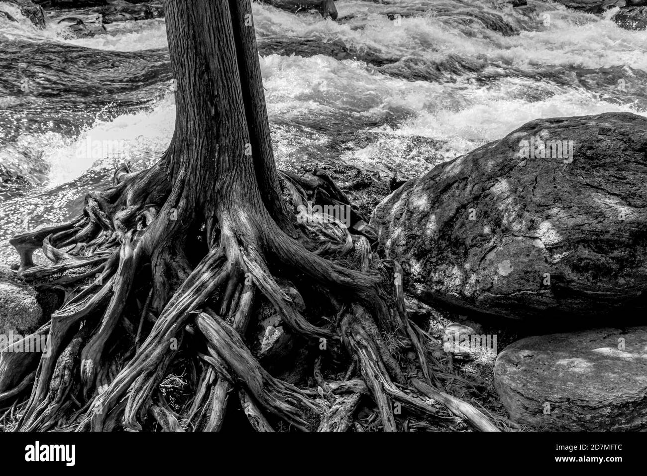 Réserve d'eau vive Minden Hills Algonquin Highlands Ontario Canada en été Banque D'Images