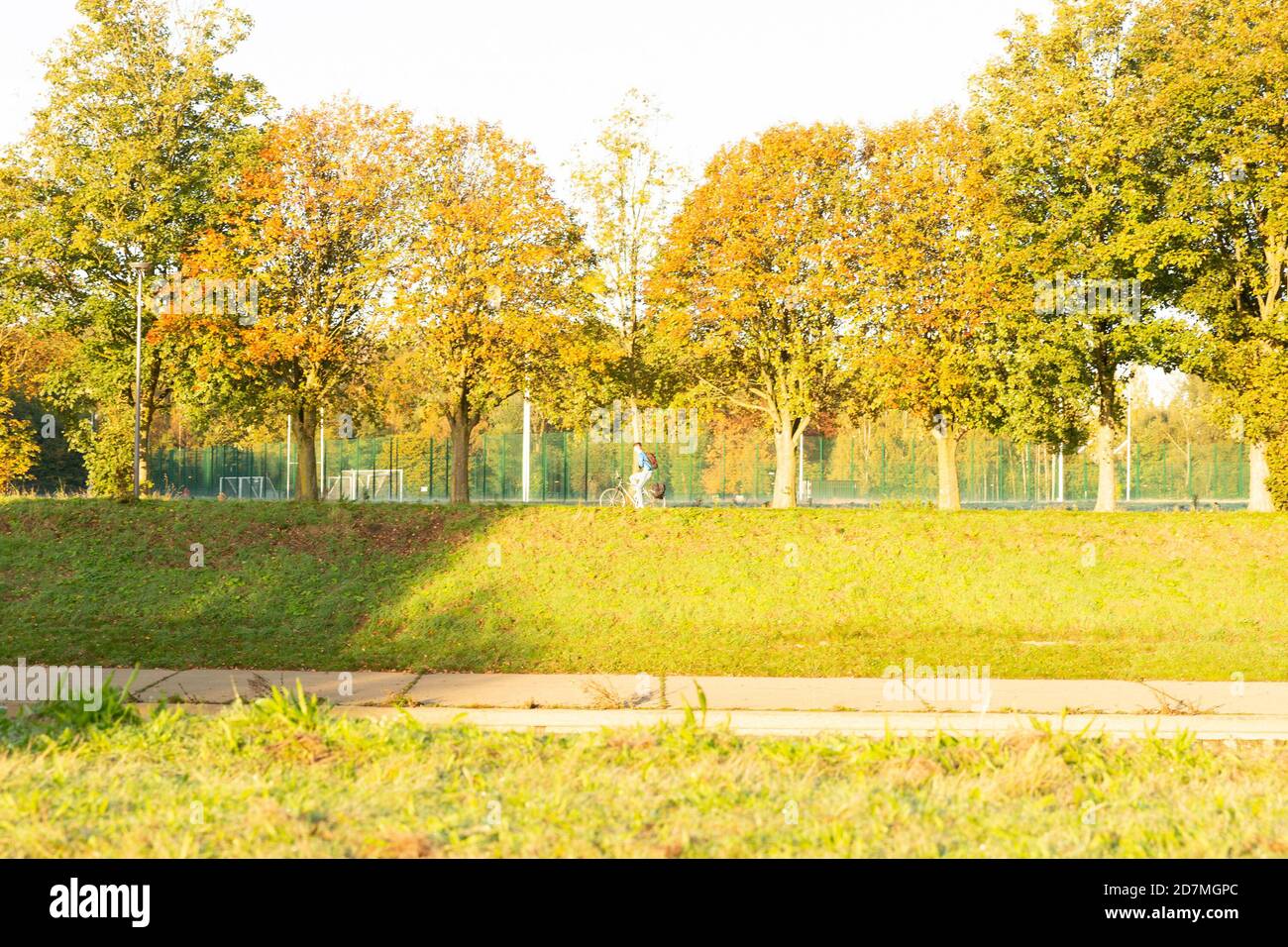 Automne à Peel Park Salford. Matin d'automne clair et lumineux. Feuilles d'orange Banque D'Images