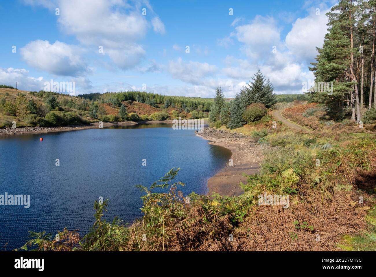 The Lakeside Way à Kielder Forest and Water, Northumberland, Angleterre, Royaume-Uni Banque D'Images