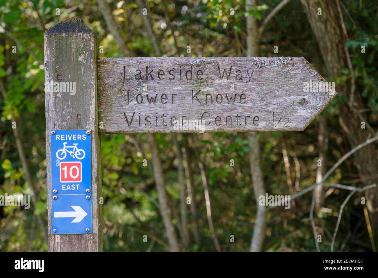 The Lakeside Way à Kielder Forest and Water, Northumberland, Angleterre, Royaume-Uni Banque D'Images