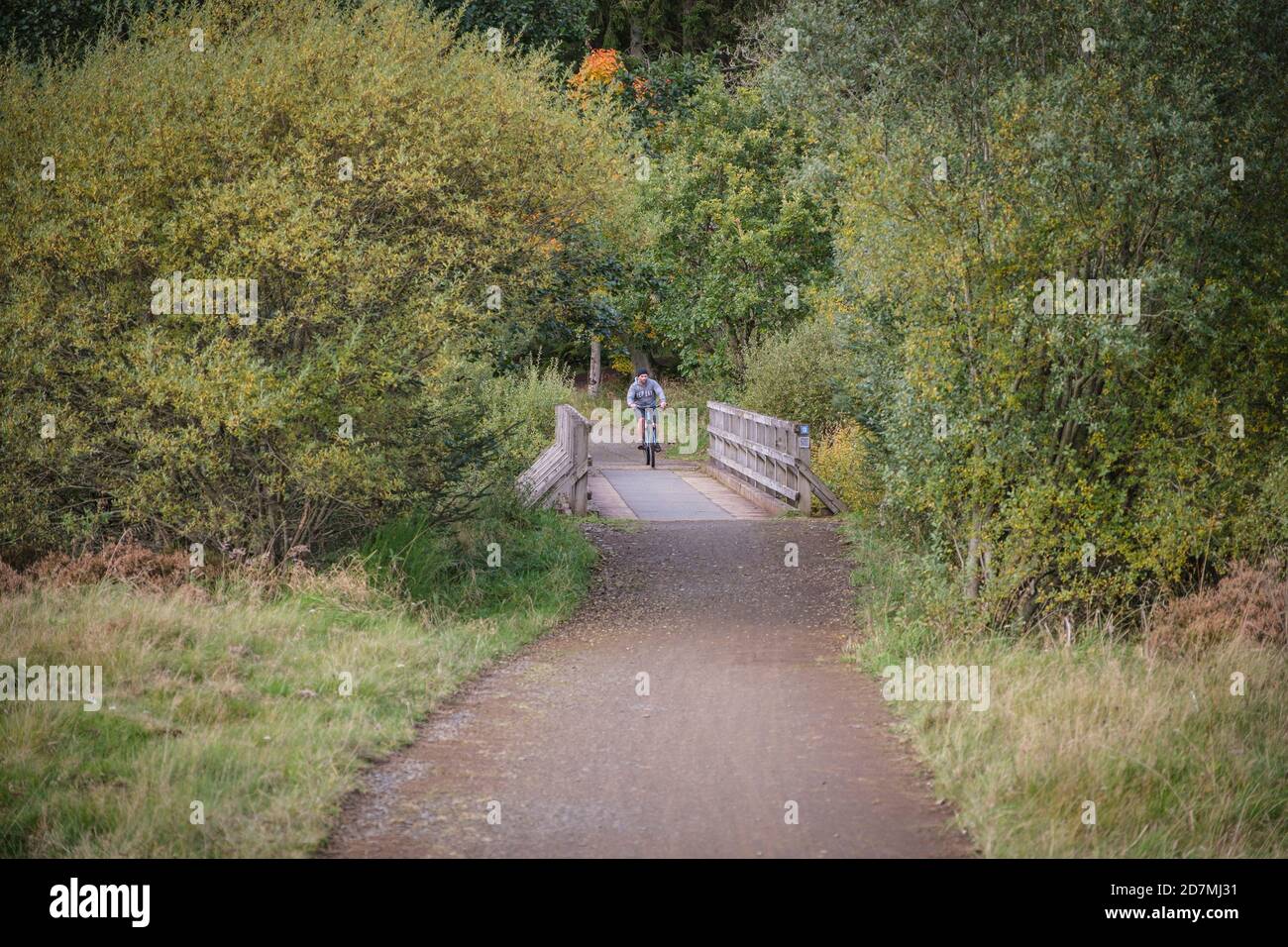 The Lakeside Way à Kielder Forest and Water, Northumberland, Angleterre, Royaume-Uni Banque D'Images