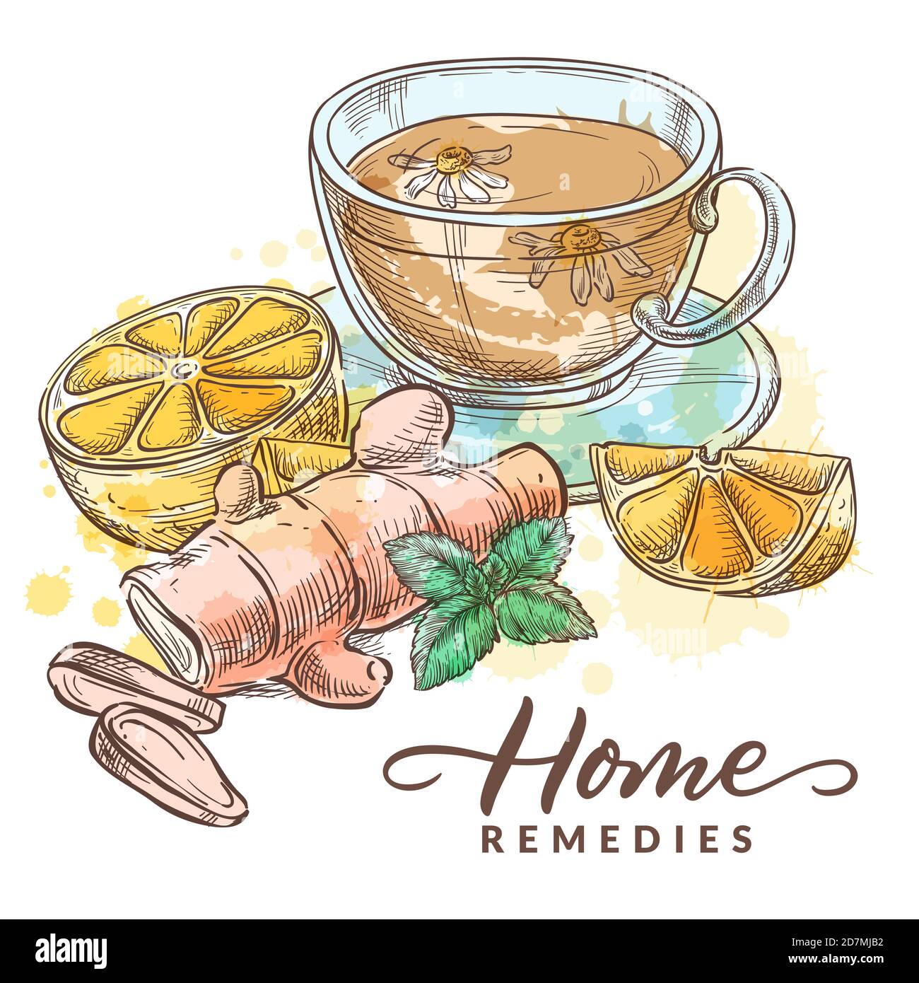 Tisane avec camomille, citron, gingembre et menthe. Remèdes à domicile traitement et médicaments pour le rhume, la grippe, la toux. Esquisse aquarelle vectorisée à la main i Illustration de Vecteur