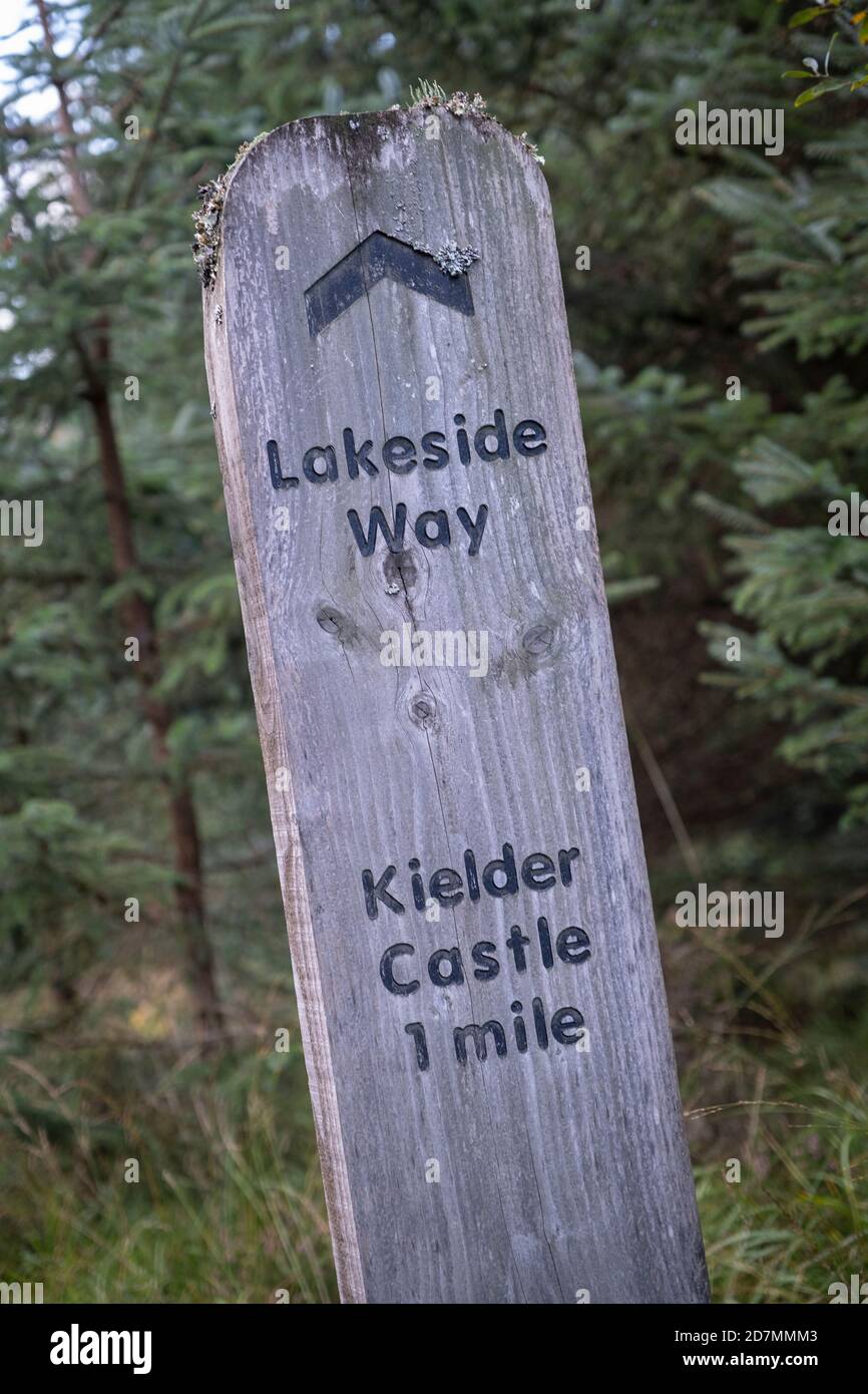 The Lakeside Way à Kielder Forest and Water, Northumberland, Angleterre, Royaume-Uni Banque D'Images