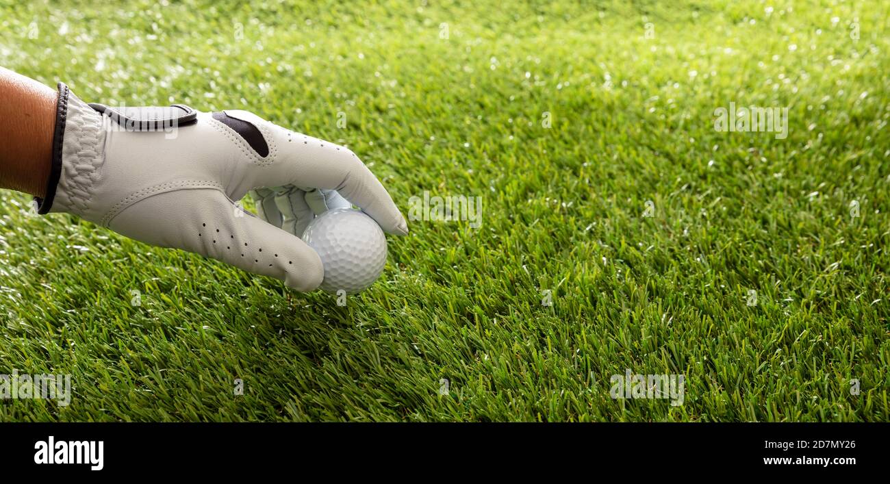 Main de golfeur dans un gant blanc tenant une balle de golf, parcours vert pelouse arrière-plan, vue rapprochée. Sport de golf et concept de club. Espace de copie, modèle Banque D'Images