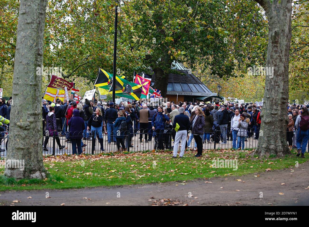 Hyde Park, Londres, Royaume-Uni. 24 octobre 2020. Poursuite de l'action des manifestants anti-verrouillage qui se rencontrent et protestent à Hyde Park, Londres. Aucune distanciation sociale n'est observée et aucun masque porté par les préposés. Crédit photo: Paul Lawrenson-PAL Media/Alay Live News Banque D'Images