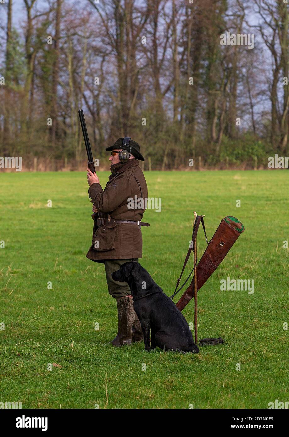 Tournage de faisans lors d'un tournage de jeu mené dans le Lancashire, en Angleterre Banque D'Images