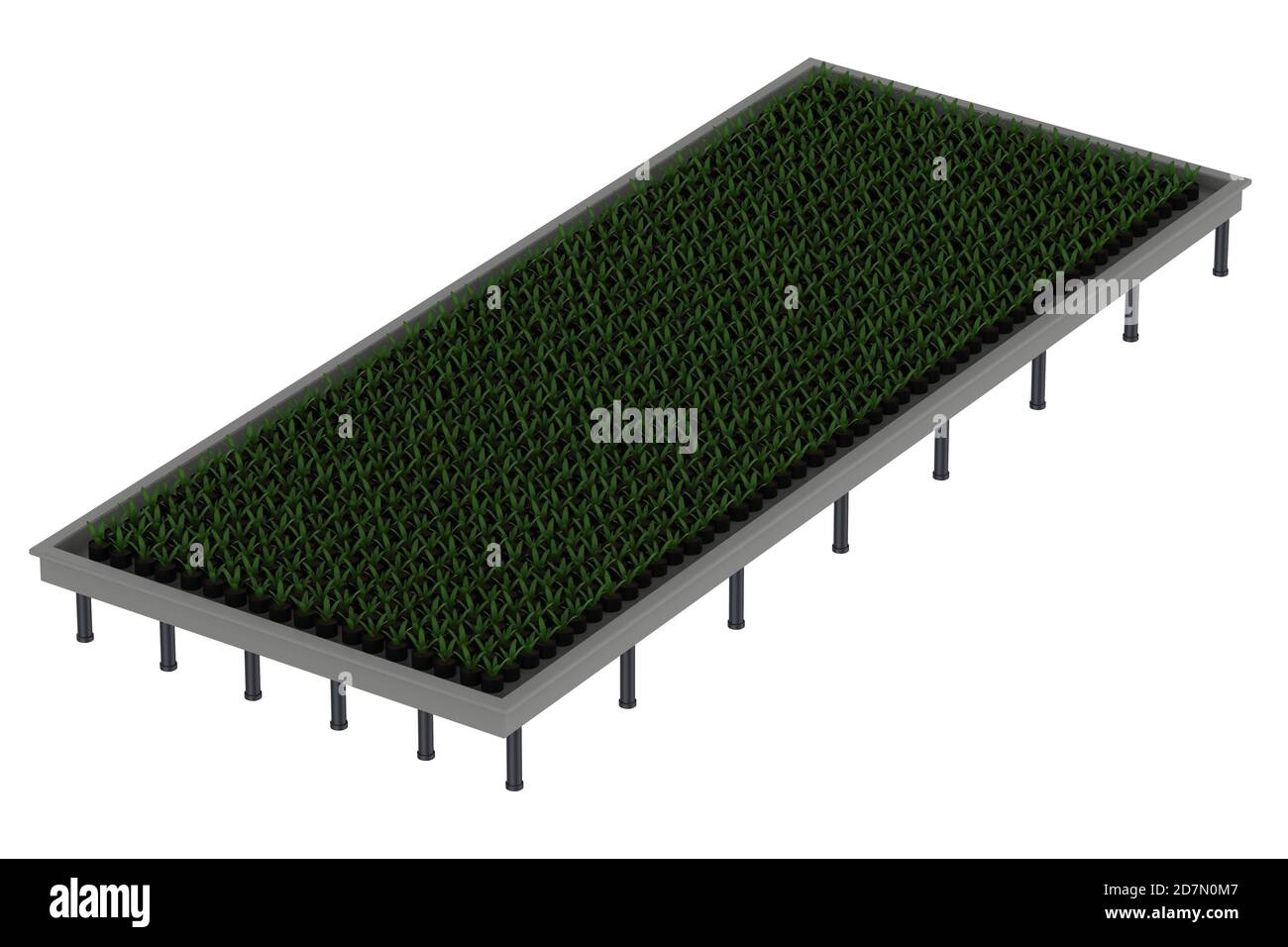 rendu 3d des plantes surélevées dans le lit de jardin isolé sur blanc Banque D'Images