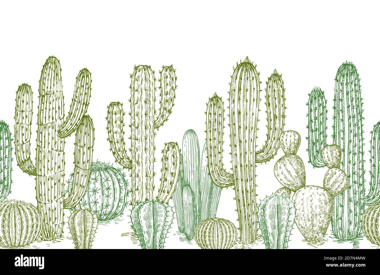 Motif Cactus sans couture. Esquisse de cactus désertiques plantes bordure sans fin pour l'illustration du paysage de l'ouest. Croquis de cactus sans couture, fleurs botaniques Illustration de Vecteur