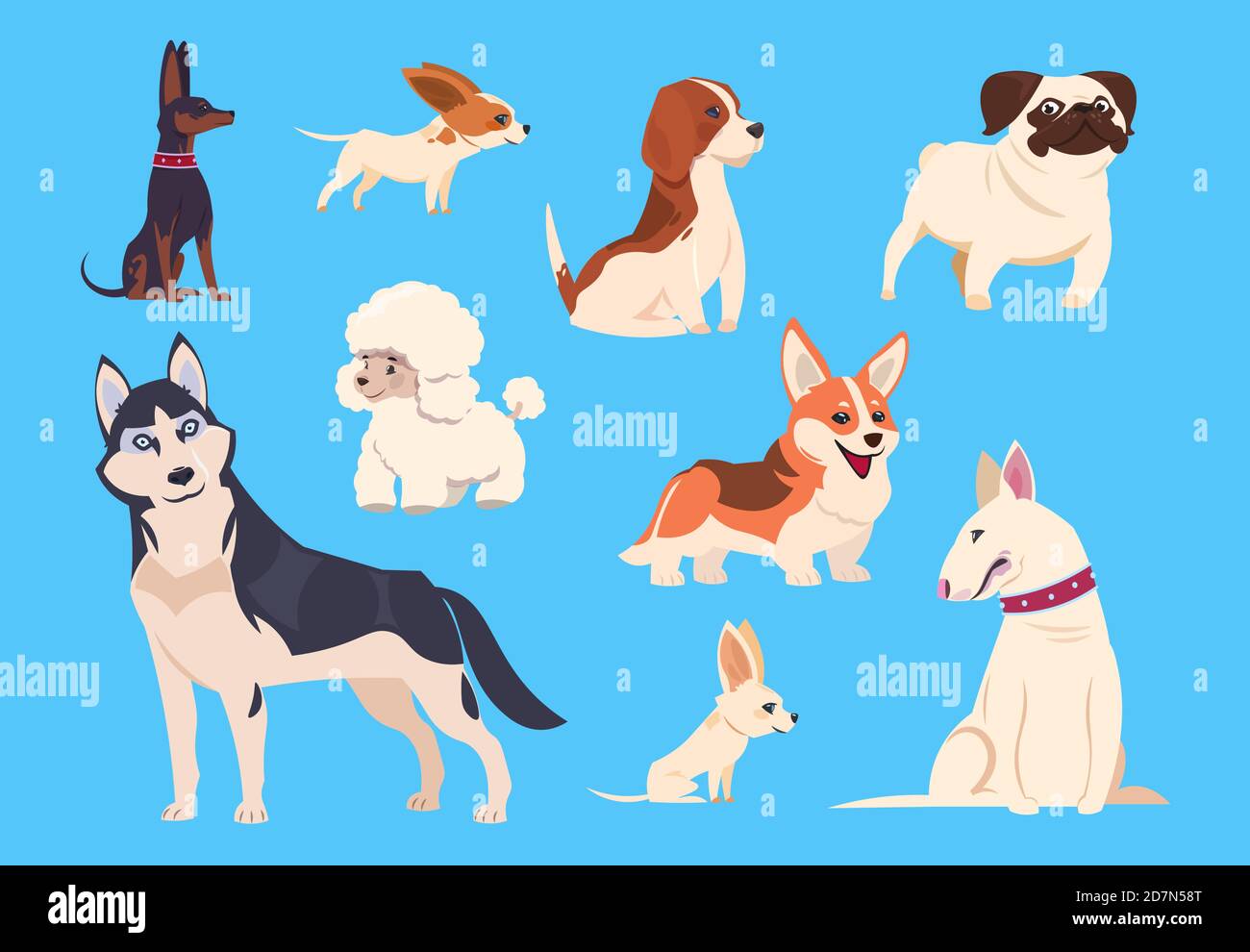 Les chiens de dessin animé se reproduisent. Corgi et husky, caniche et beagle, pug et chihuahua, Bull terrier. Personnages vectoriels animaux de compagnie de bande dessinée isolés. Illustration de chien de terrier, de chien d'animal de compagnie et de chihuahua Illustration de Vecteur