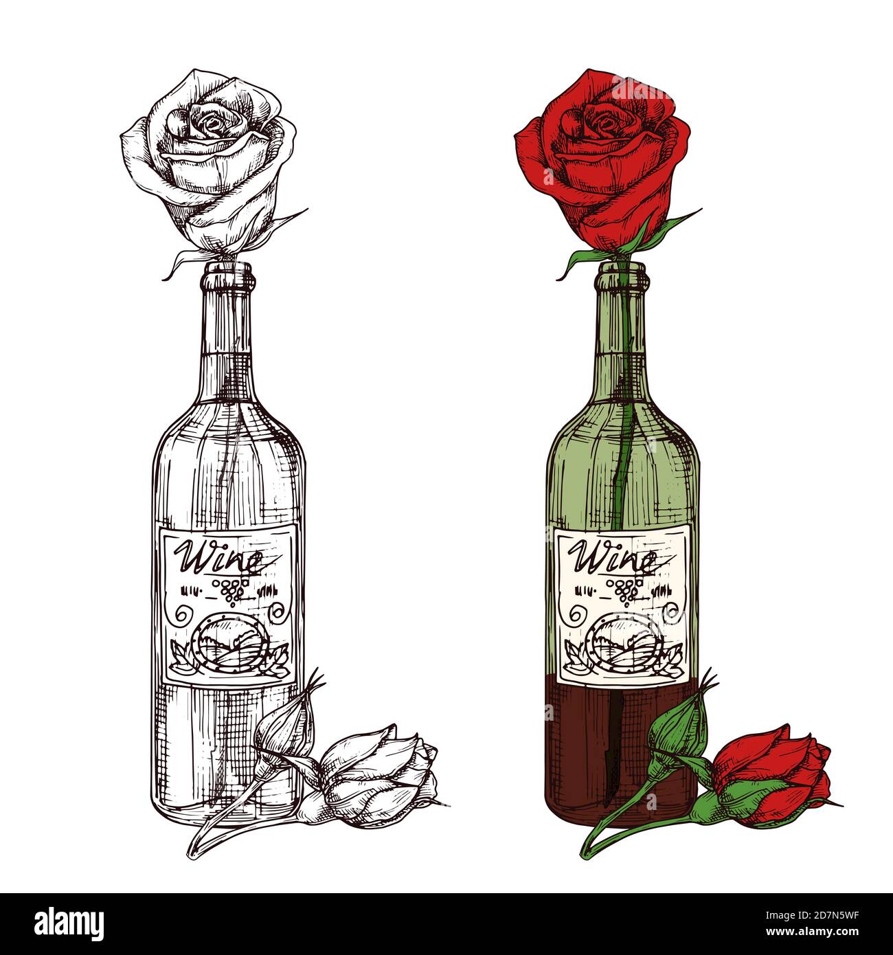 Rose dessinée à la main dans l'illustration vectorielle de la bouteille de vin. Rose rouge en bouteille de vin, boissons alcoolisées Illustration de Vecteur
