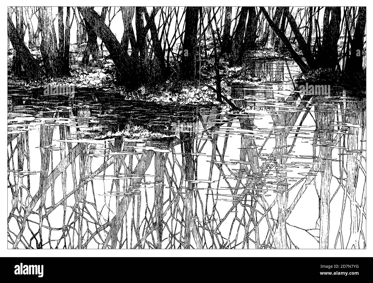 Paysage, graphiques de recouvrement dessinés à la main. Les arbres se reflètent dans la rivière. Un cadeau exceptionnel. Image. Vecteur. Sans arrière-plan Illustration de Vecteur