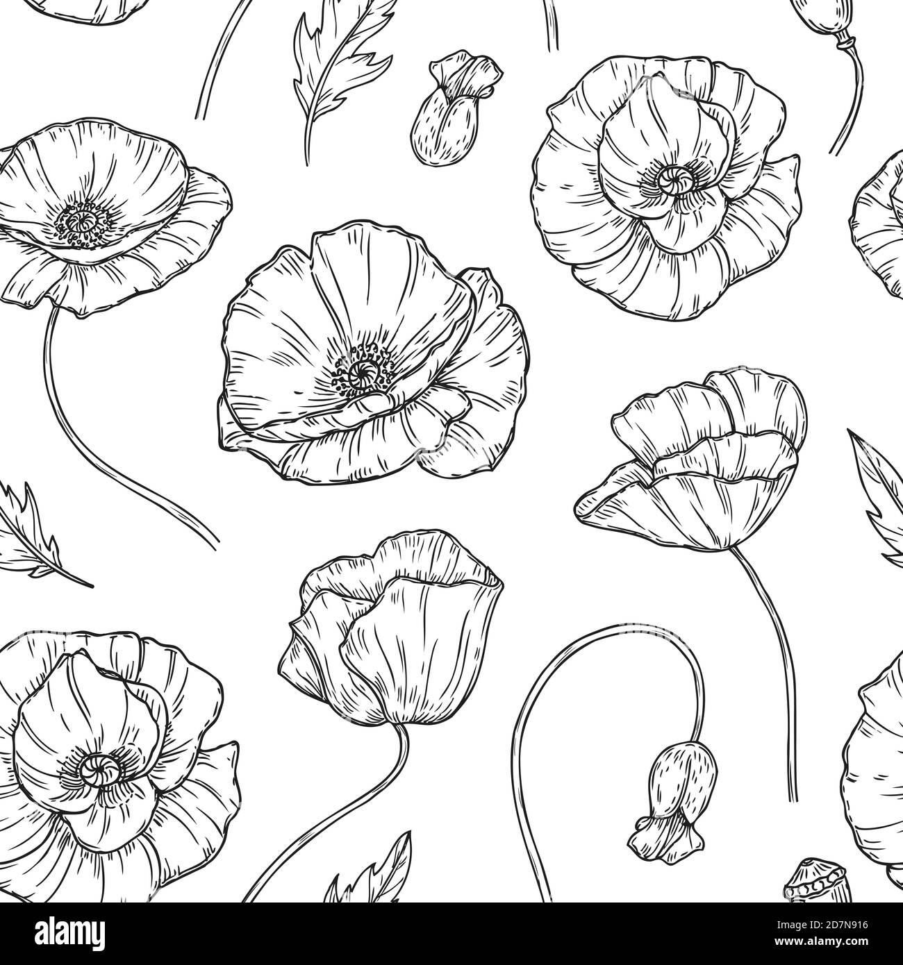 Motif coquelicot sans coutures. Coquelicots fleur esquisse dessin mur art plante coquelicot fleur bourgeon plantation florale nature vecteur tissu texture. Illustration d'un motif fleuri de pavot sans couture Illustration de Vecteur