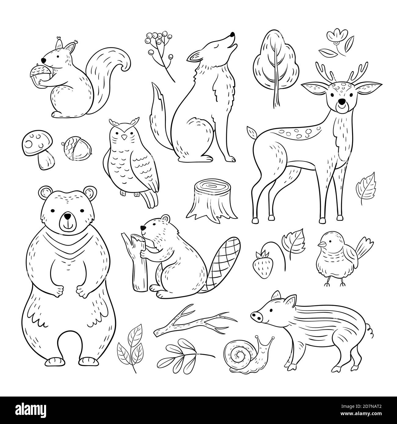 Animaux de la forêt Doodle. Forêt mignon bébé animal écureuil loup hibou ours cerf escargot enfants esquisse vecteur main jeu dessiné. Illustration de la chouette et de l'écureuil, du loup et du castor Illustration de Vecteur