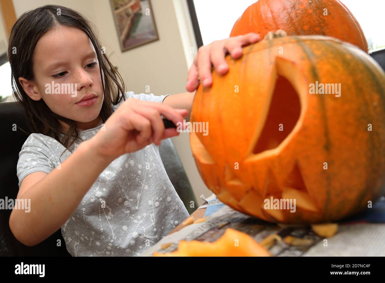 Un jeune garçon, Rhys Williams, âgé de 8 ans, porte une citrouille pour Halloween sur la table à manger, pendant la coupe-feu au pays de Galles. ©PRWPhotography Banque D'Images