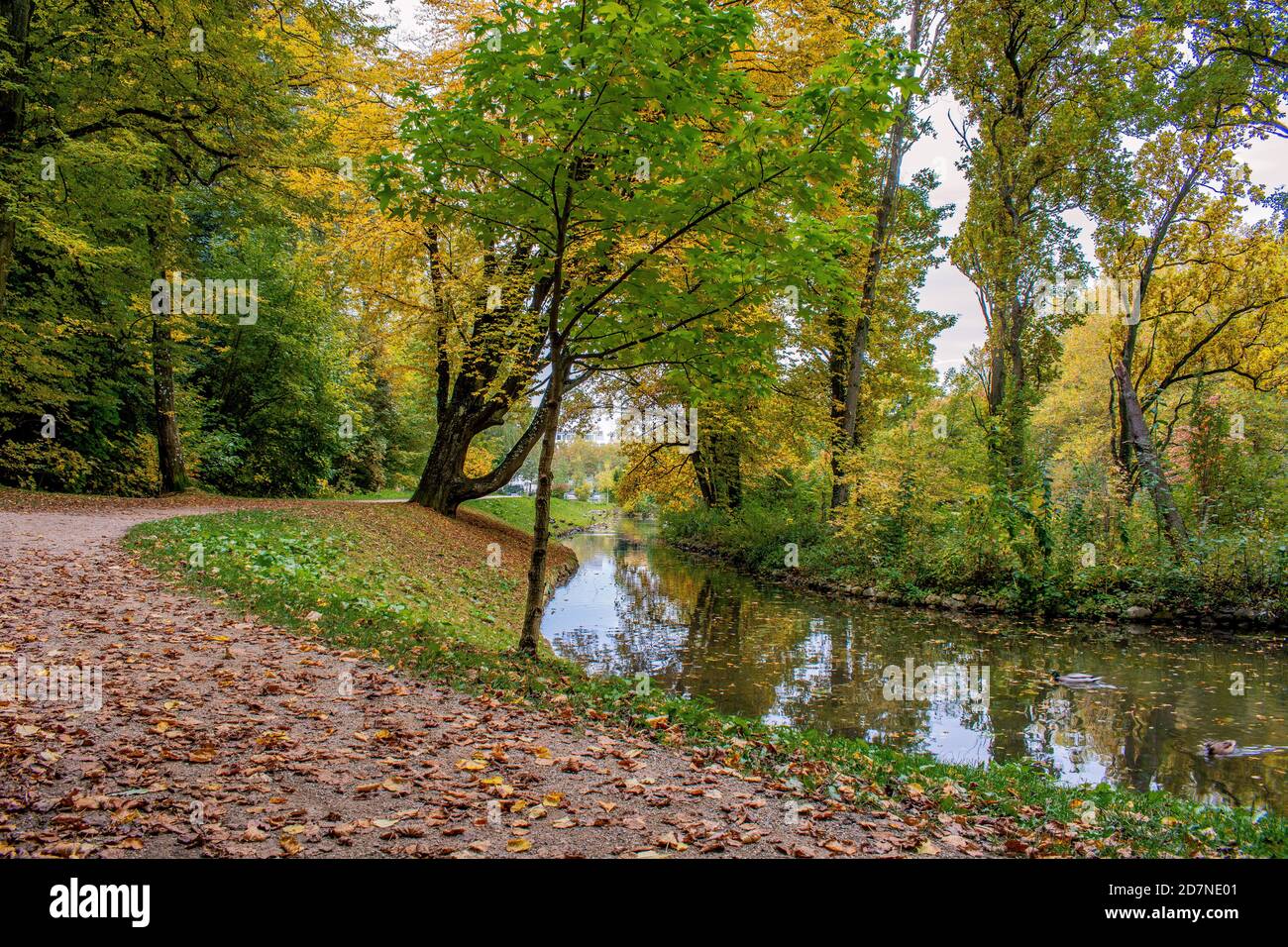 Bade-Wurtemberg : couleurs de l'automne Banque D'Images