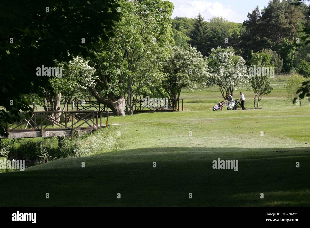 Belleisle Golf Club Golf week course, Ayr, Ayrshire, Écosse, Royaume-Uni. Événement annuel organisé par le Conseil du sud de l'Ayrshire sur le parcours de parc. Banque D'Images