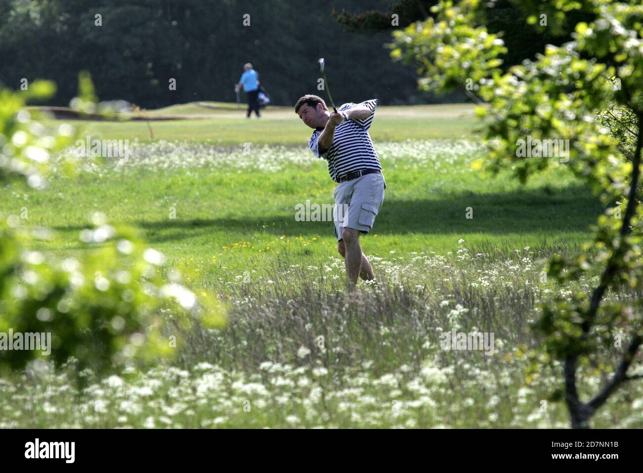 Belleisle Golf Club Golf week course, Ayr, Ayrshire, Écosse, Royaume-Uni. Événement annuel organisé par le Conseil du sud de l'Ayrshire sur le parcours de parc. Banque D'Images