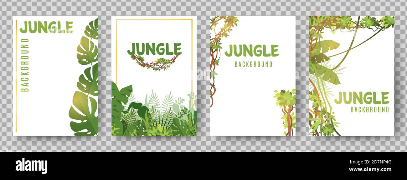 Modèle de cadres tropicaux verts. Jungle plantes cartes vectorielles. Cadre d'arrière-plan de la jungle, illustration de plantes tropicales vertes Illustration de Vecteur