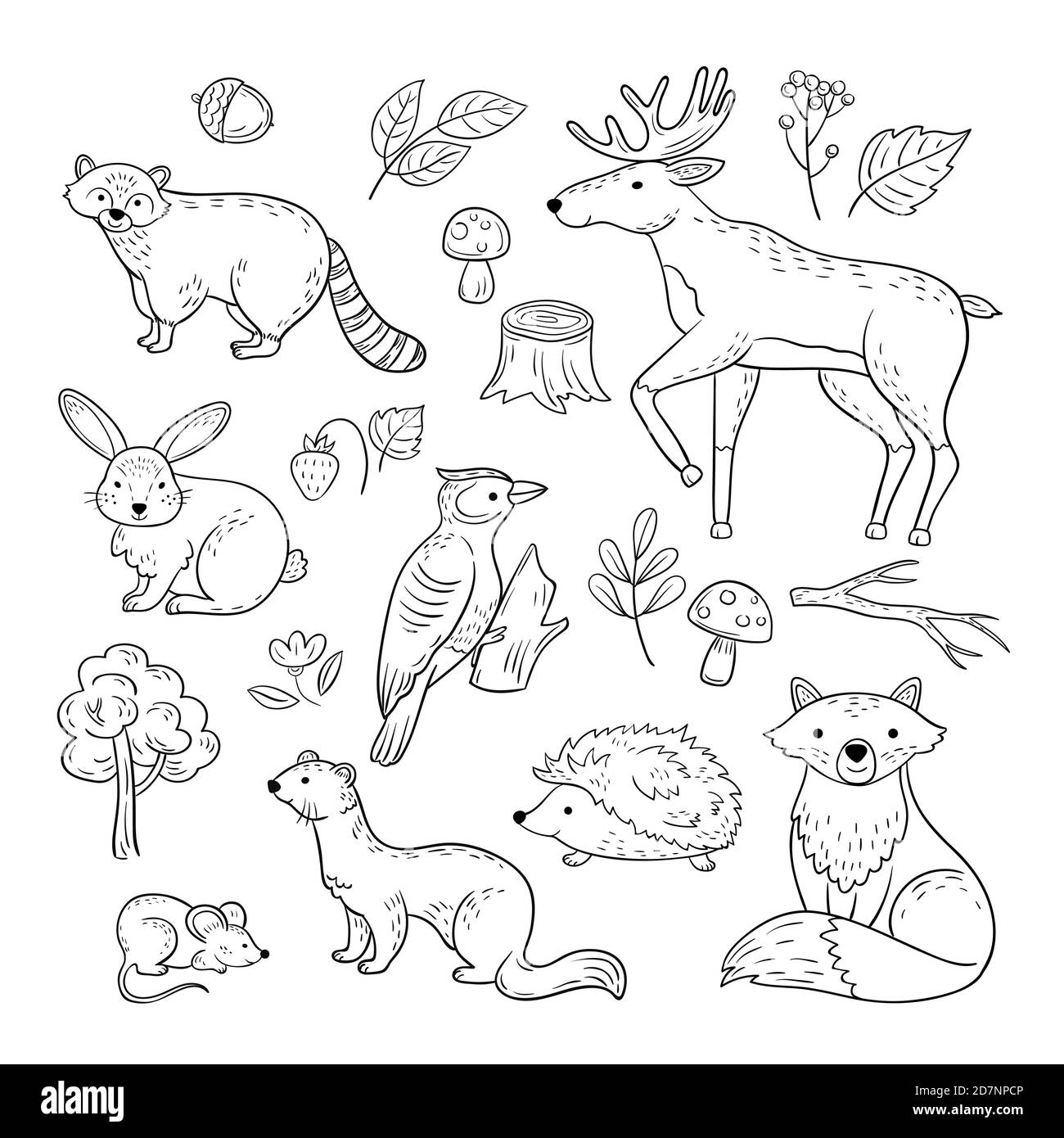 Esquisser les animaux de la forêt. Bois mignon petit animal raton lavon elk lièvre pic boosté marten renard enfants Doodle vecteur main dessiné ensemble. Illustration de forêt animale, souris et raton laveur, hérisson Illustration de Vecteur