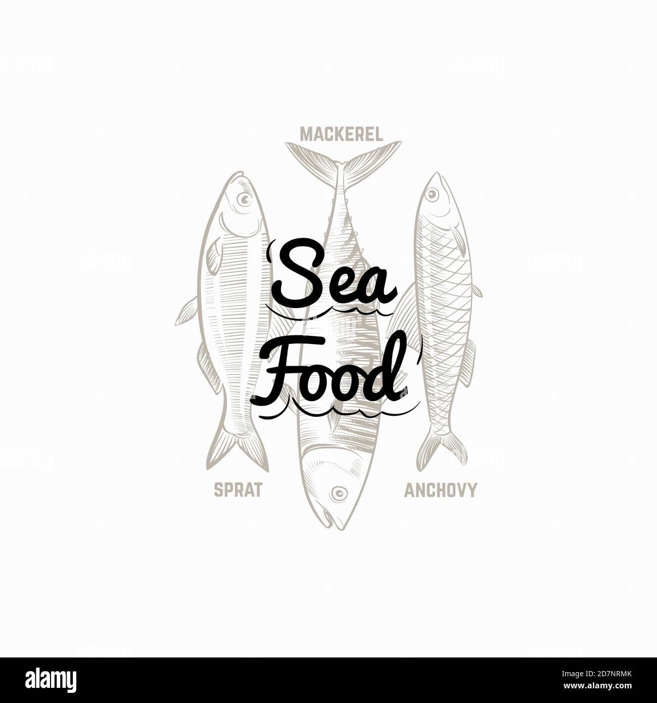 Les produits du poisson sont présentés avec un motif vectoriel de maquereau, de sprat et d'anchois dessiné à la main. Illustration du maquereau, du sprat et de l'anchois Illustration de Vecteur