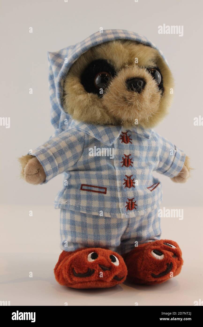 Mignon meerkat portant un pyjama à carreaux bleus, un chapeau de nuit et des chaussons, isolé sur un fond blanc. Banque D'Images
