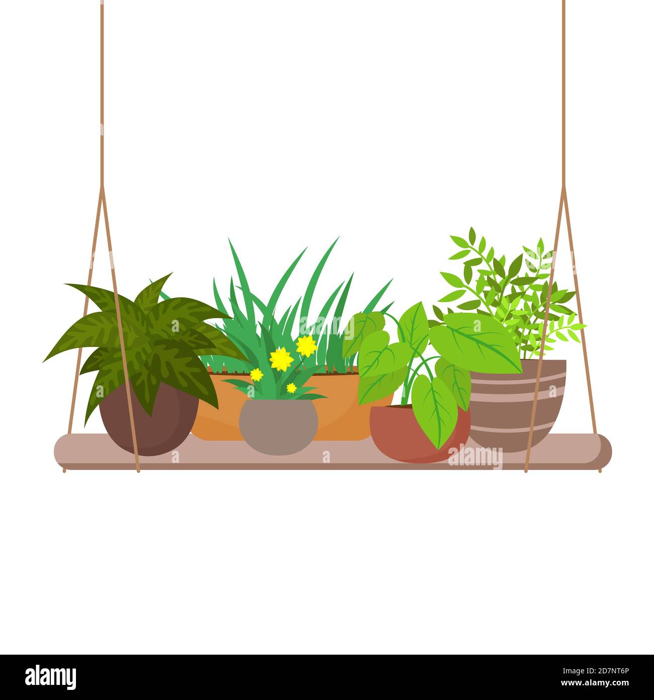 Plantes d'intérieur sur l'illustration vectorielle de l'étagère suspendue. Home pot fleur pour intérieur, maison Illustration de Vecteur Plantes d'intérieur sur l'illustration vectorielle de l'étagère suspendue. Home pot fleur pour intérieur, maison Illustration de Vecteur