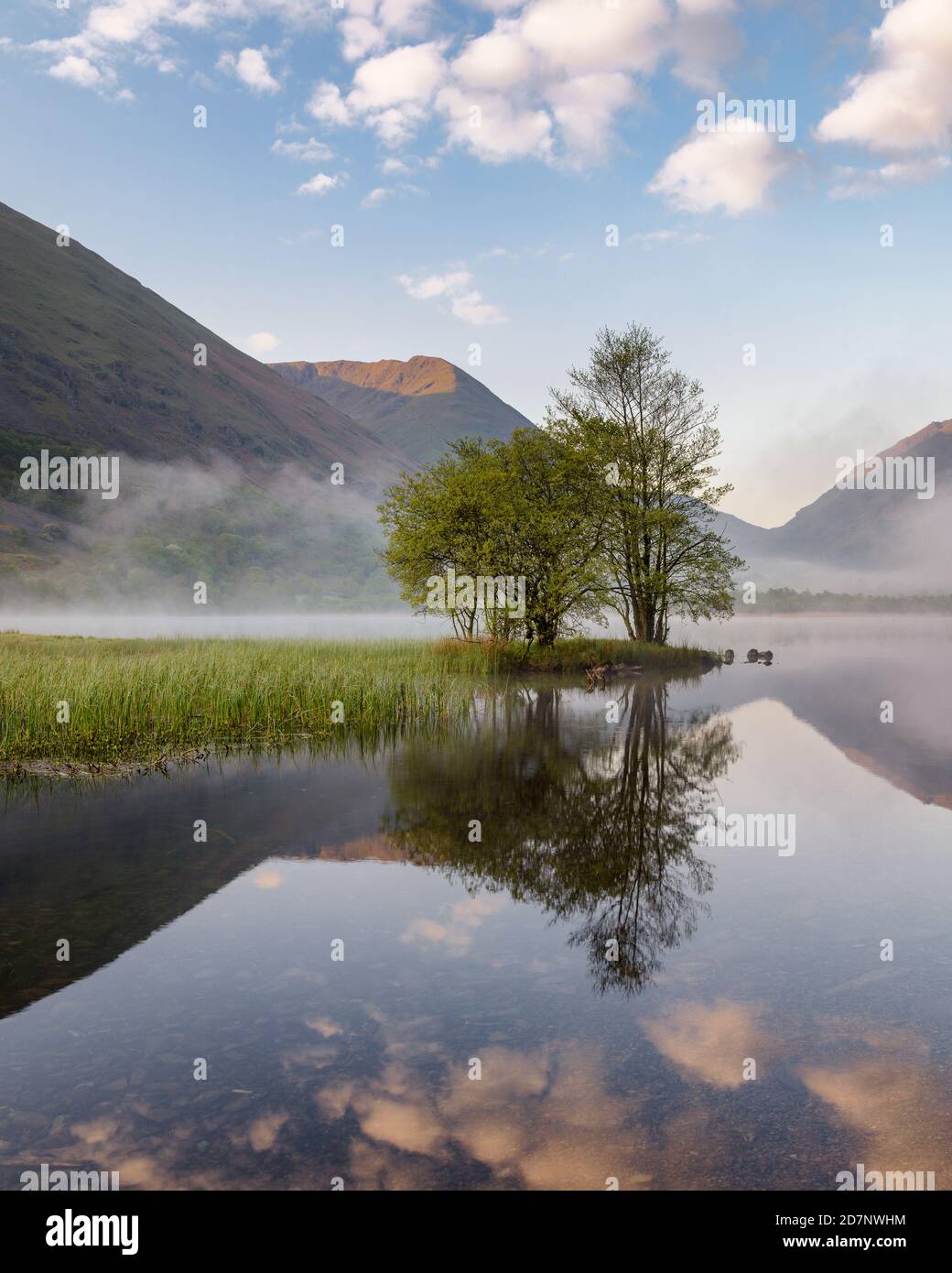 Groupe d'arbres sur une copse reflétant dans un lac avec beau ciel bleu. Prise dans Lake District, Royaume-Uni. Banque D'Images