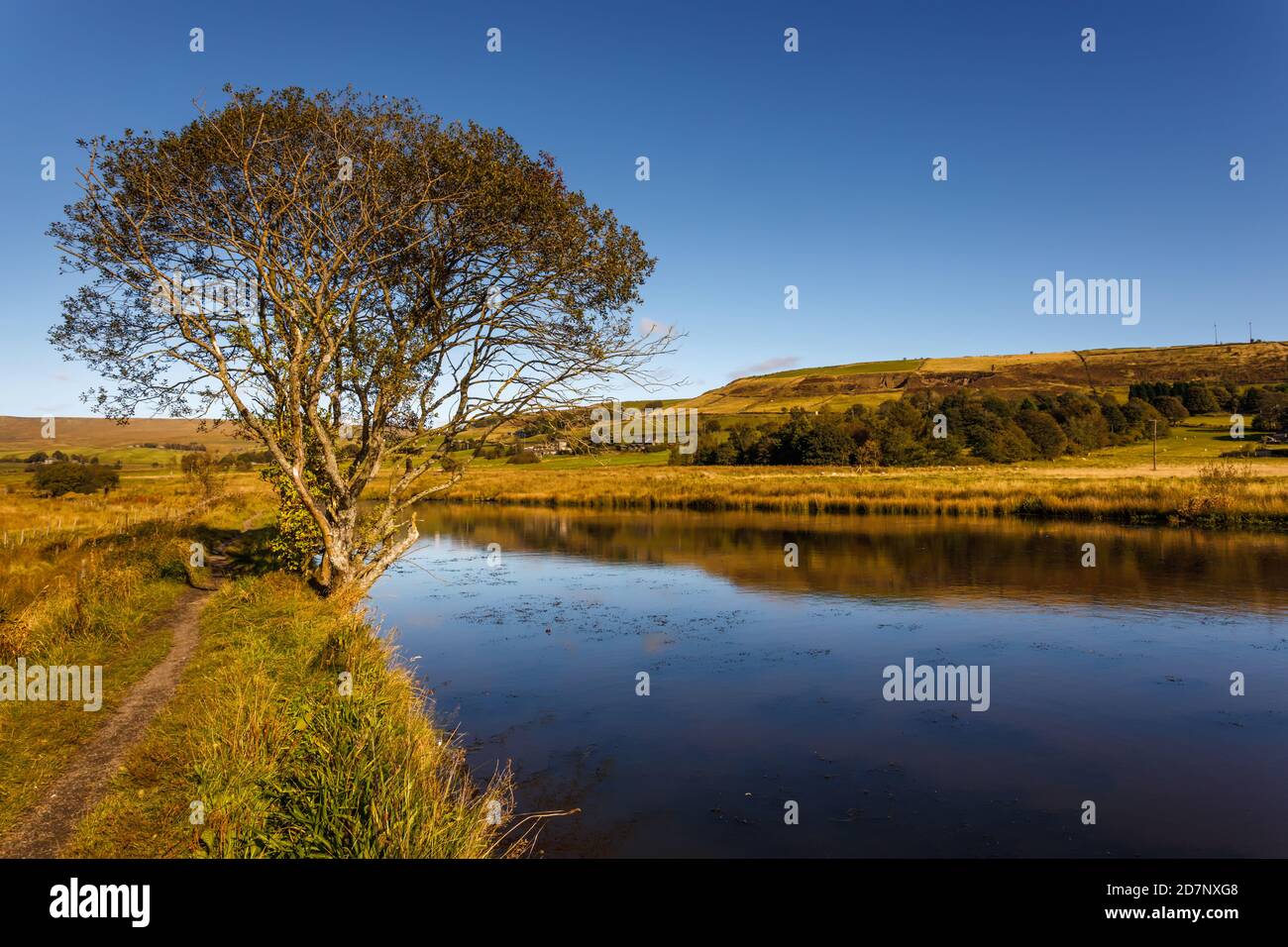 Paysage de ciel bleu de l'étang de Hull Mill à Delph, Saddleworth, avec arbre Banque D'Images