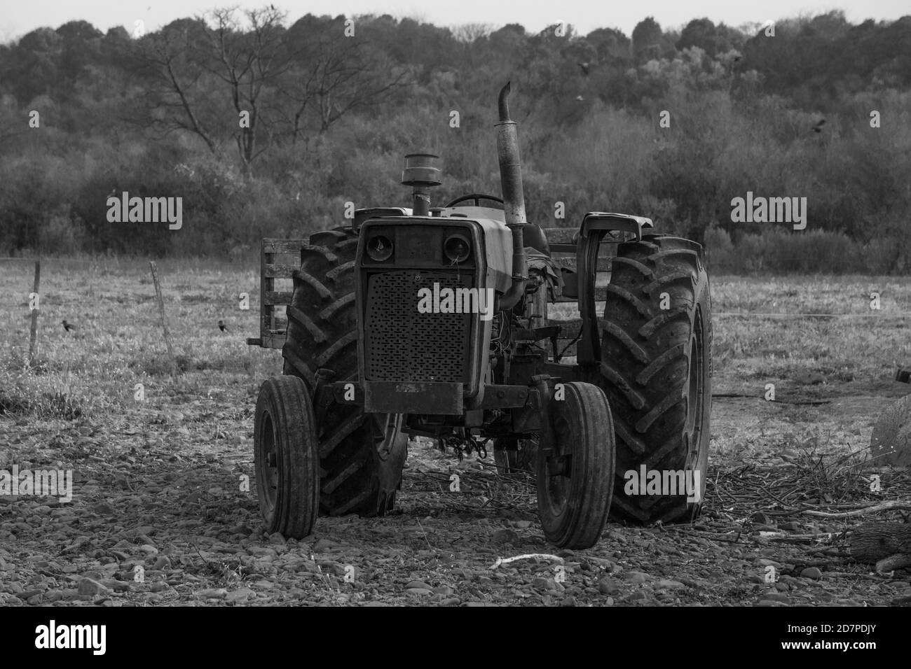 Gros plan en niveaux de gris d'un ancien tracteur rouillé dans le milieu du champ Banque D'Images