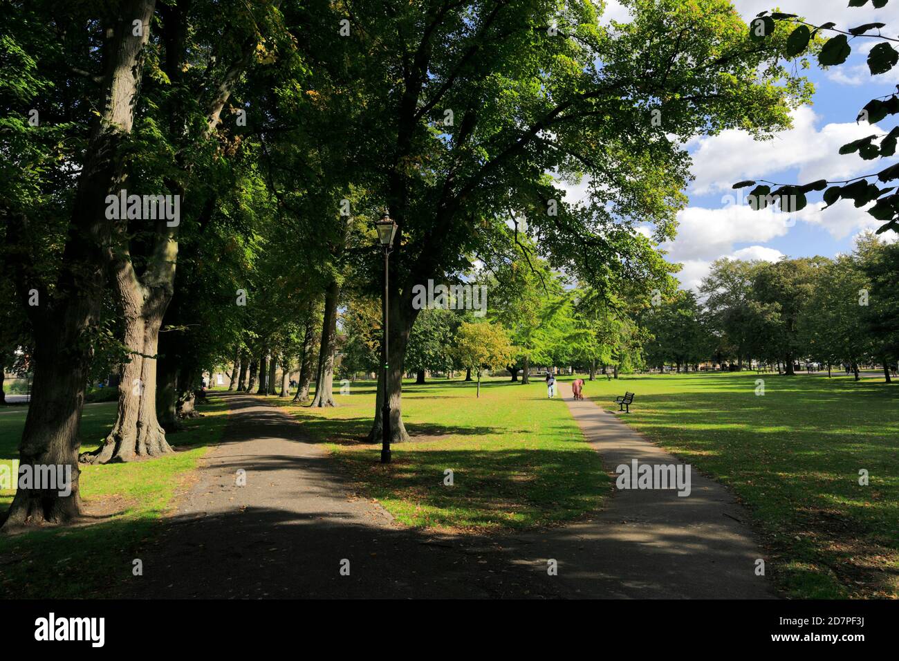 Vue sur le parc des pièces de Christs, Cambridge City, Cambridgeshire, Angleterre, Royaume-Uni Banque D'Images