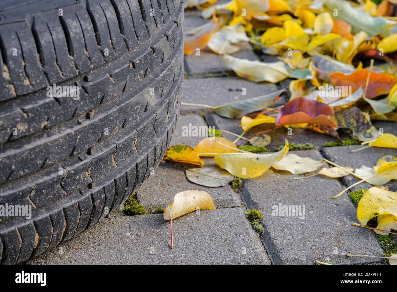 Attention sélective à la bande de roulement d'un pneu de voiture couché sur une chaussée en automne. Les feuilles jaunes tombées sont dispersées. Changement saisonnier des pneus Banque D'Images