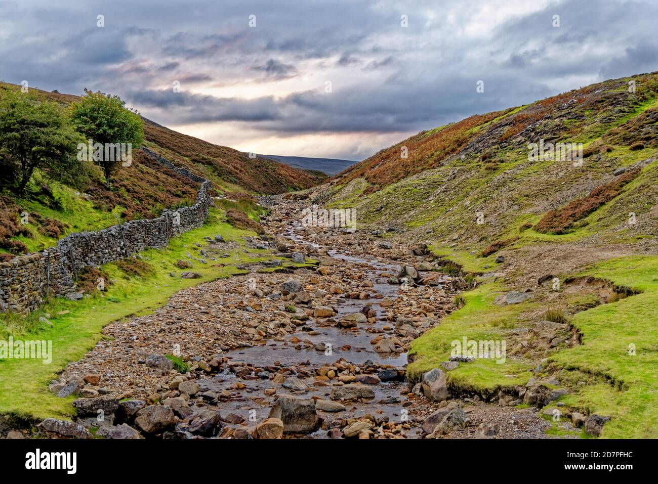 Fore Gill Gate - magnifique vue sur les Dales du Yorkshire du Nord, près de Langthwaite - North Yorkshire, Angleterre, Royaume-Uni Banque D'Images