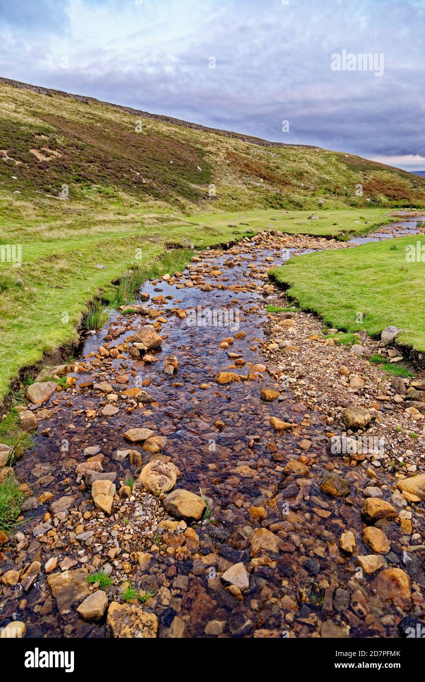 Fore Gill Gate - magnifique vue sur les Dales du Yorkshire du Nord, près de Langthwaite - North Yorkshire, Angleterre, Royaume-Uni Banque D'Images