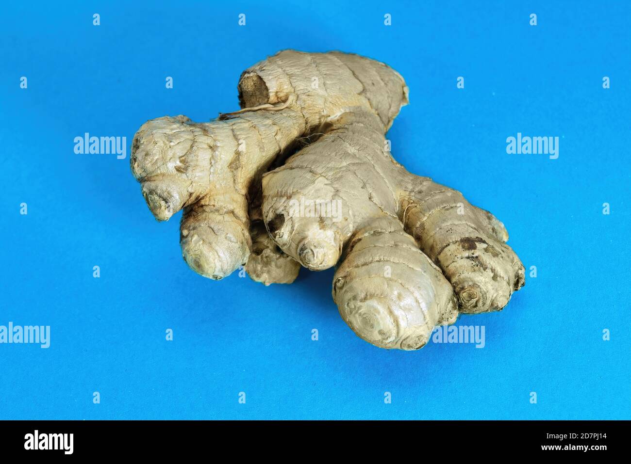 Racine entière de gingembre frais sur fond bleu. Banque D'Images