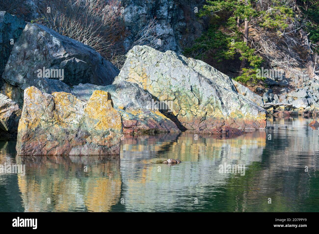 Formations rocheuses dans l'eau à Watmough Bay, Lopez Island, Washington, Etats-Unis Banque D'Images